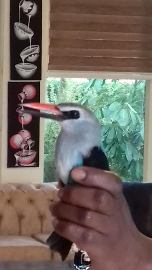 Ikaze B&B Kigali Eksteriør billede